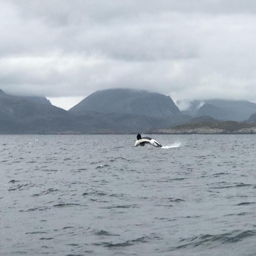 Fishermans Rorbu 1 - Lofoten Ramberg Exterior foto